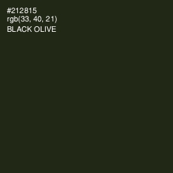 #212815 - Black Olive Color Image